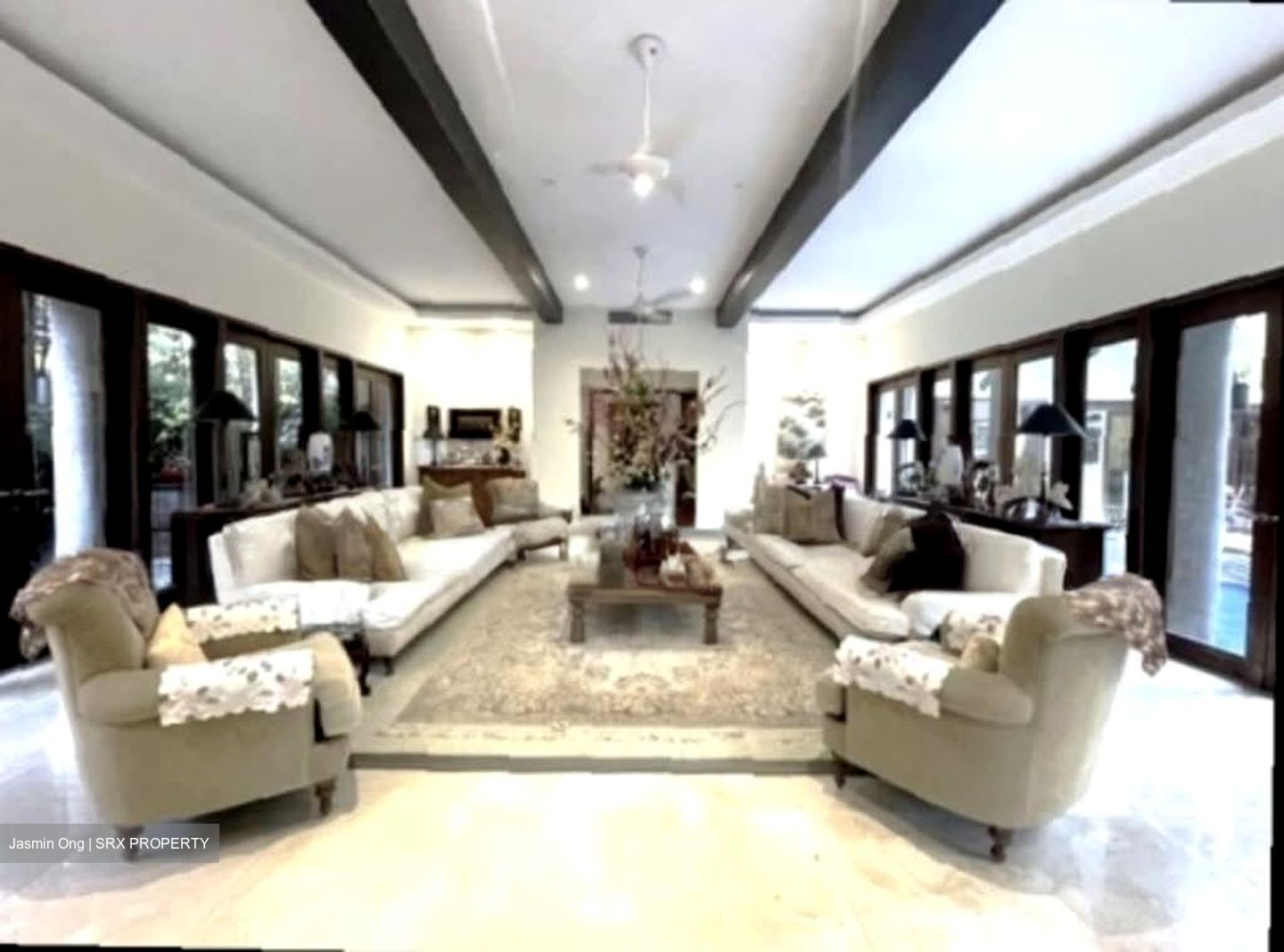 Raffles Park (D11), Detached #534631691